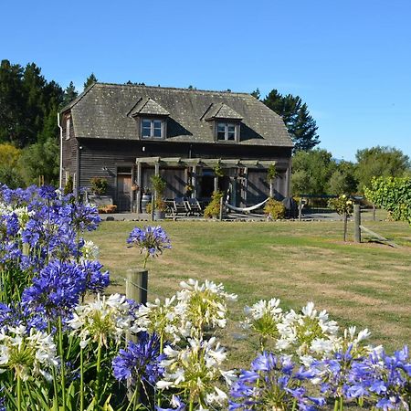 Ddog Vineyard & Bnb Renwick Exterior foto