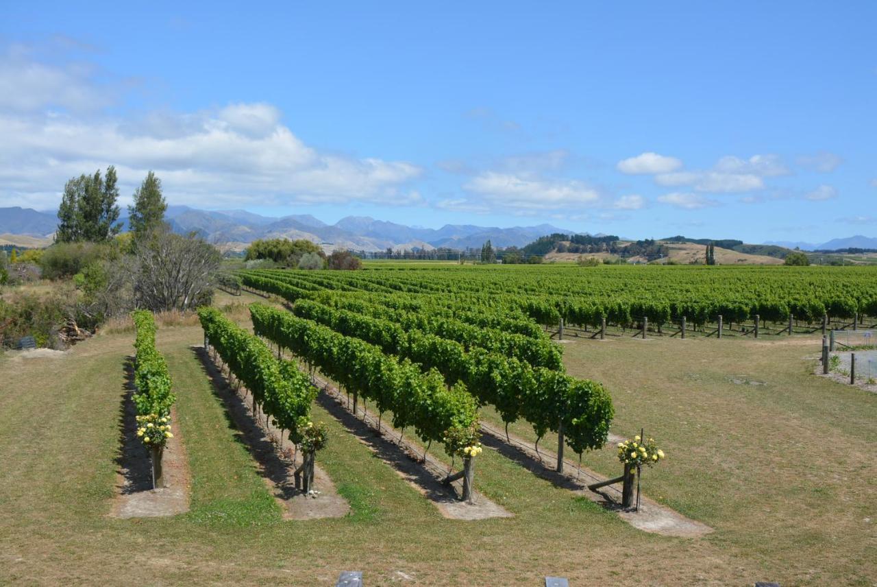 Ddog Vineyard & Bnb Renwick Exterior foto