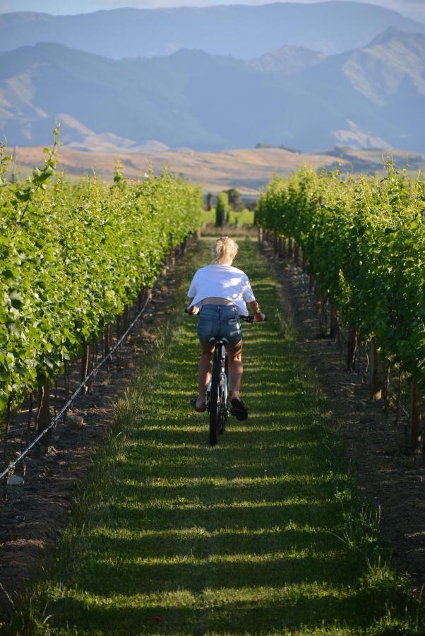 Ddog Vineyard & Bnb Renwick Exterior foto