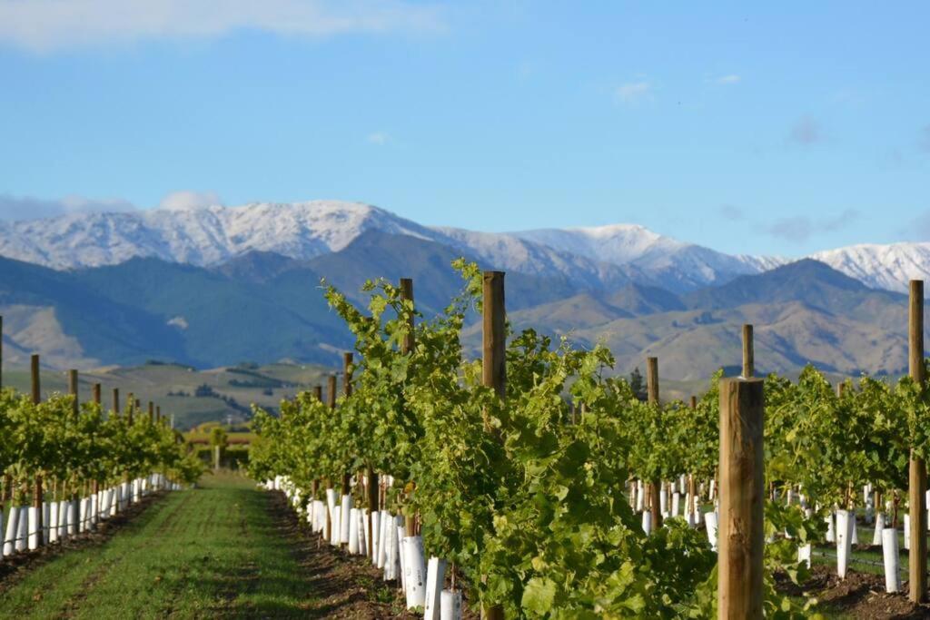 Ddog Vineyard & Bnb Renwick Exterior foto