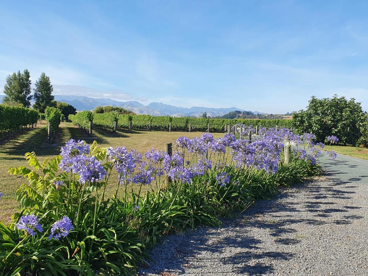 Ddog Vineyard & Bnb Renwick Exterior foto