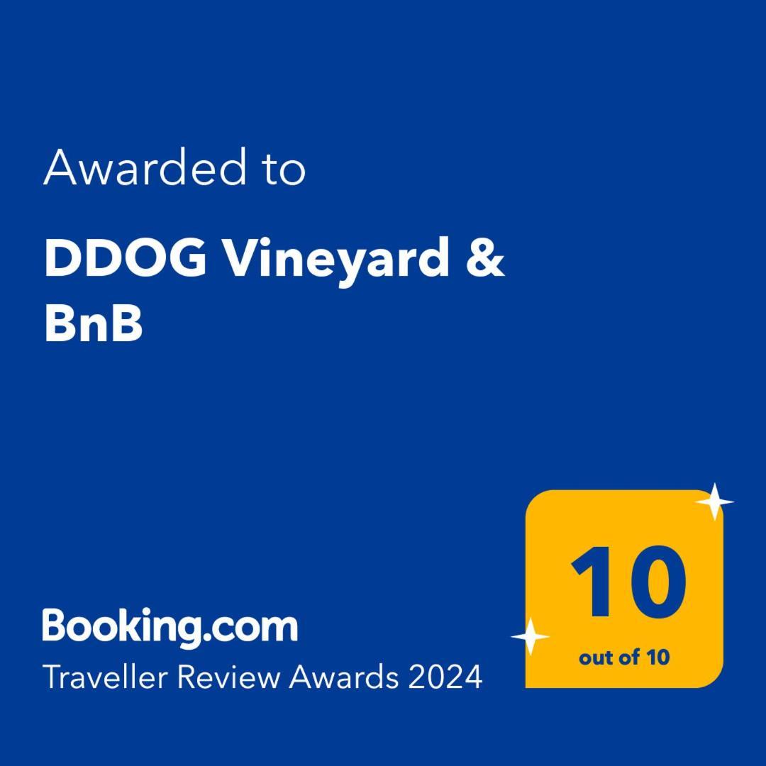 Ddog Vineyard & Bnb Renwick Exterior foto